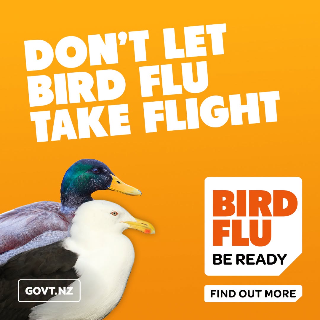 Avian flu New Zealand