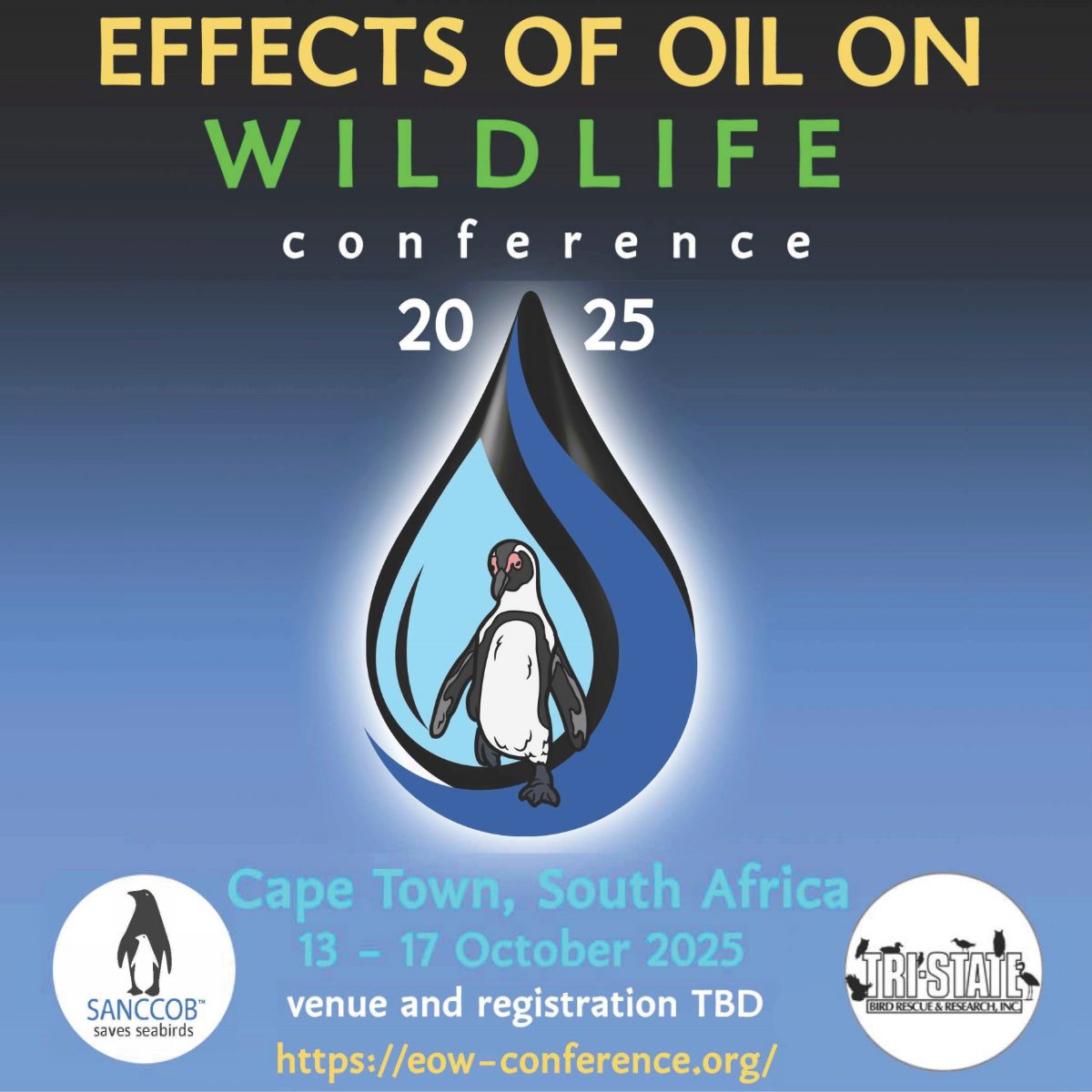 Effects of oil conference Cape Town