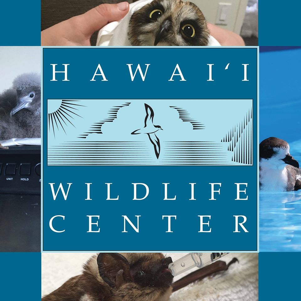 Hawaii Wildlife Center