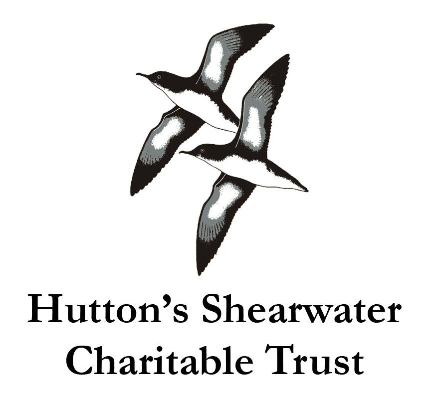 Agreement on the Conservation of Albatrosses and Petrels - The Hutton's  Shearwater Charitable Trust wholeheartedly endorses World Albatross Day
