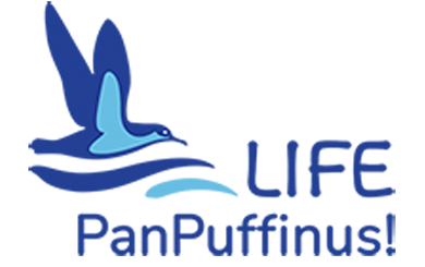 Life Puffinus
