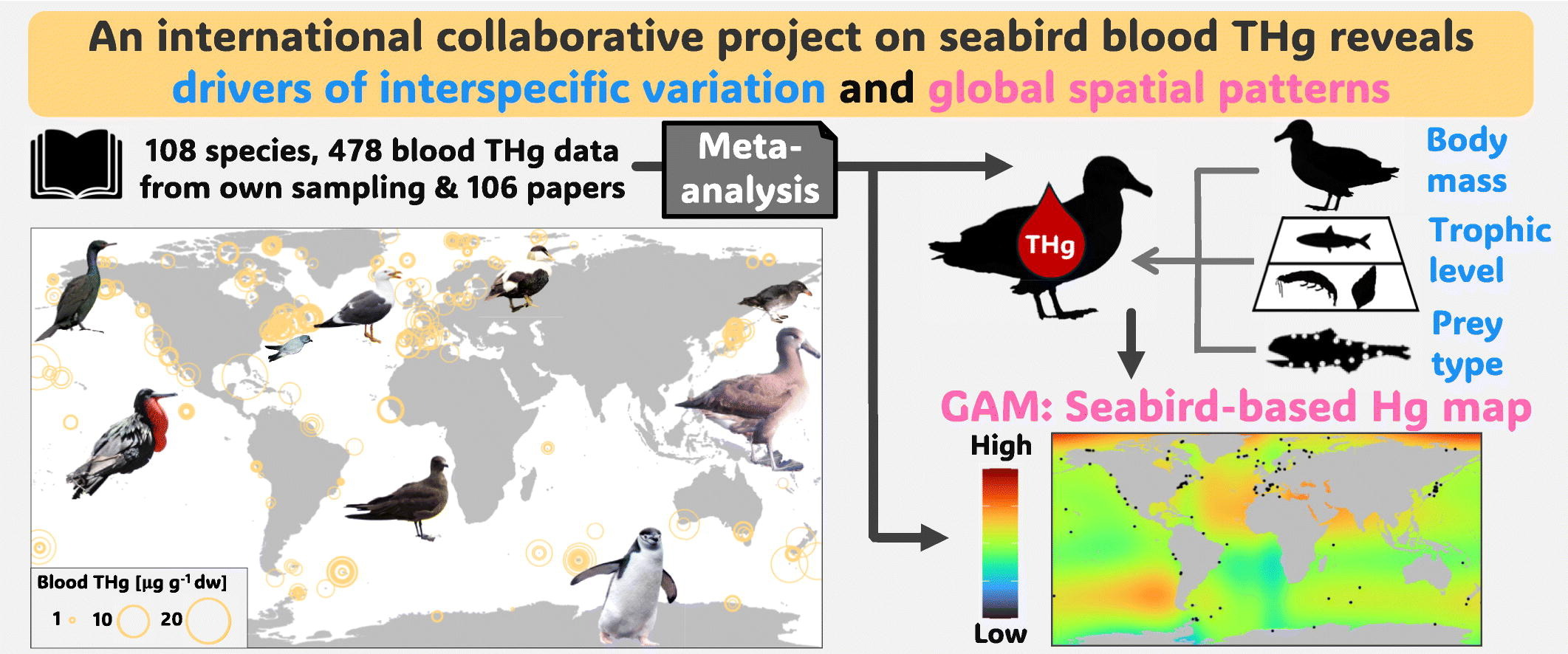 Mercury graphic abstract