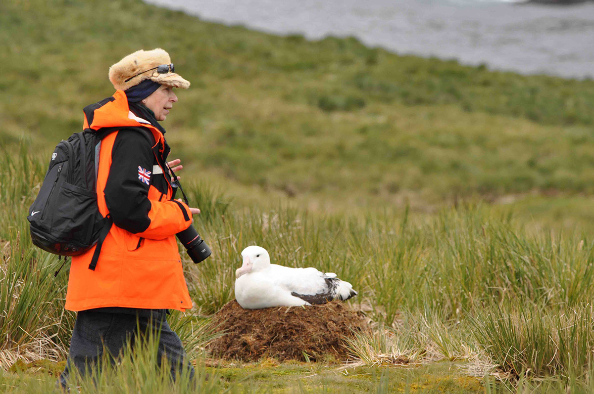 Princess Anne Bird Island