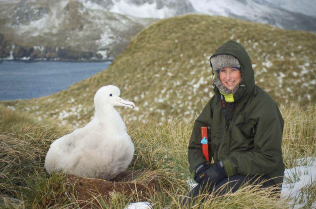 Stephanie Prince Bird Island