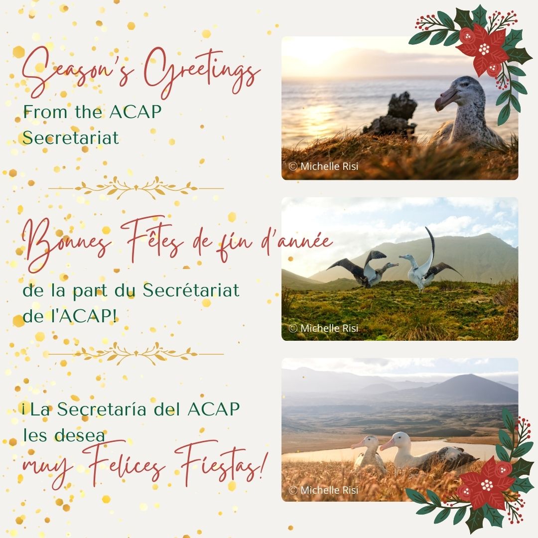 2024 ACAP Seasons Greetings