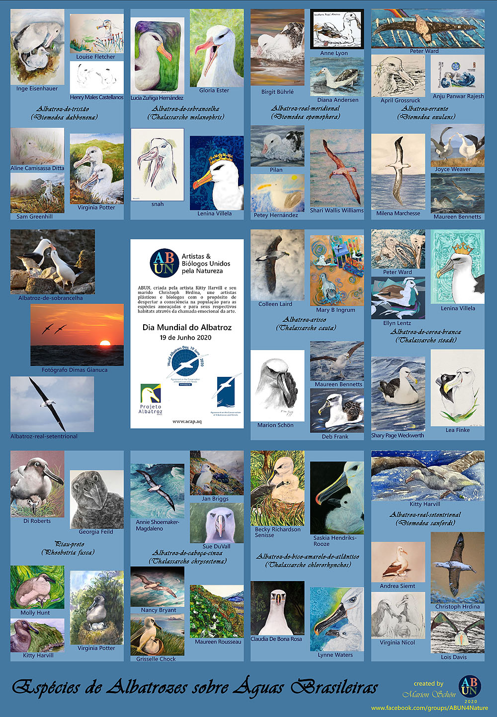 ABUN Brazilian albatrosses hi res