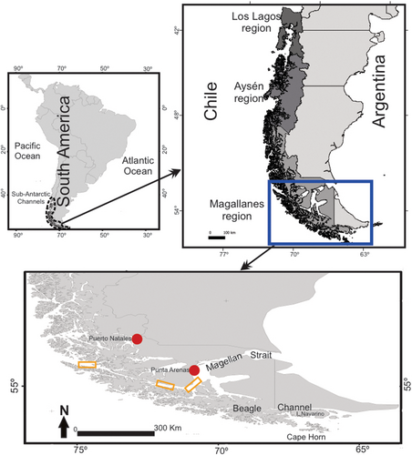 Fig1 Reciprocal relationship Chilean fishers and seabirds Aug 2024