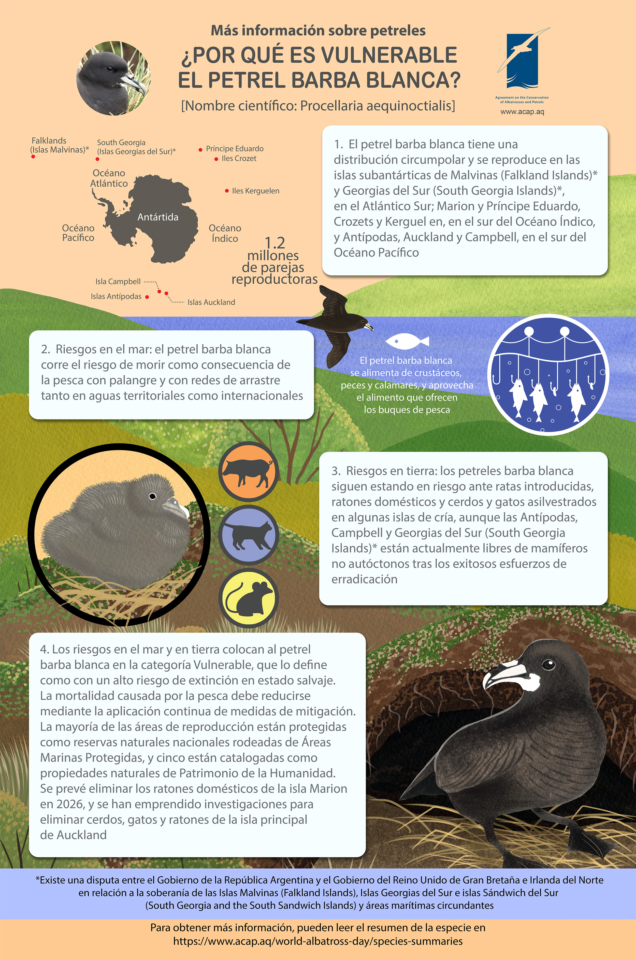 Infographic whitechinnedpetrel es sml 2MB