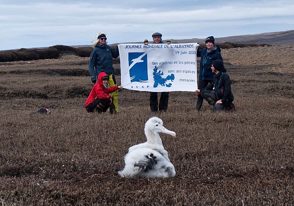 Kerguelen banner.s