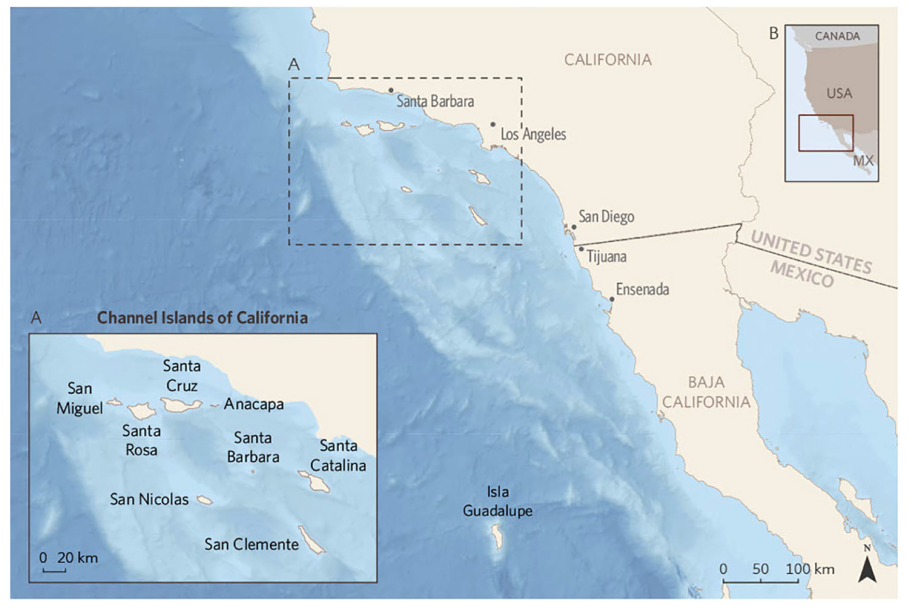 LA and BFA translocation Channel Islands paper by pacificrimconservation