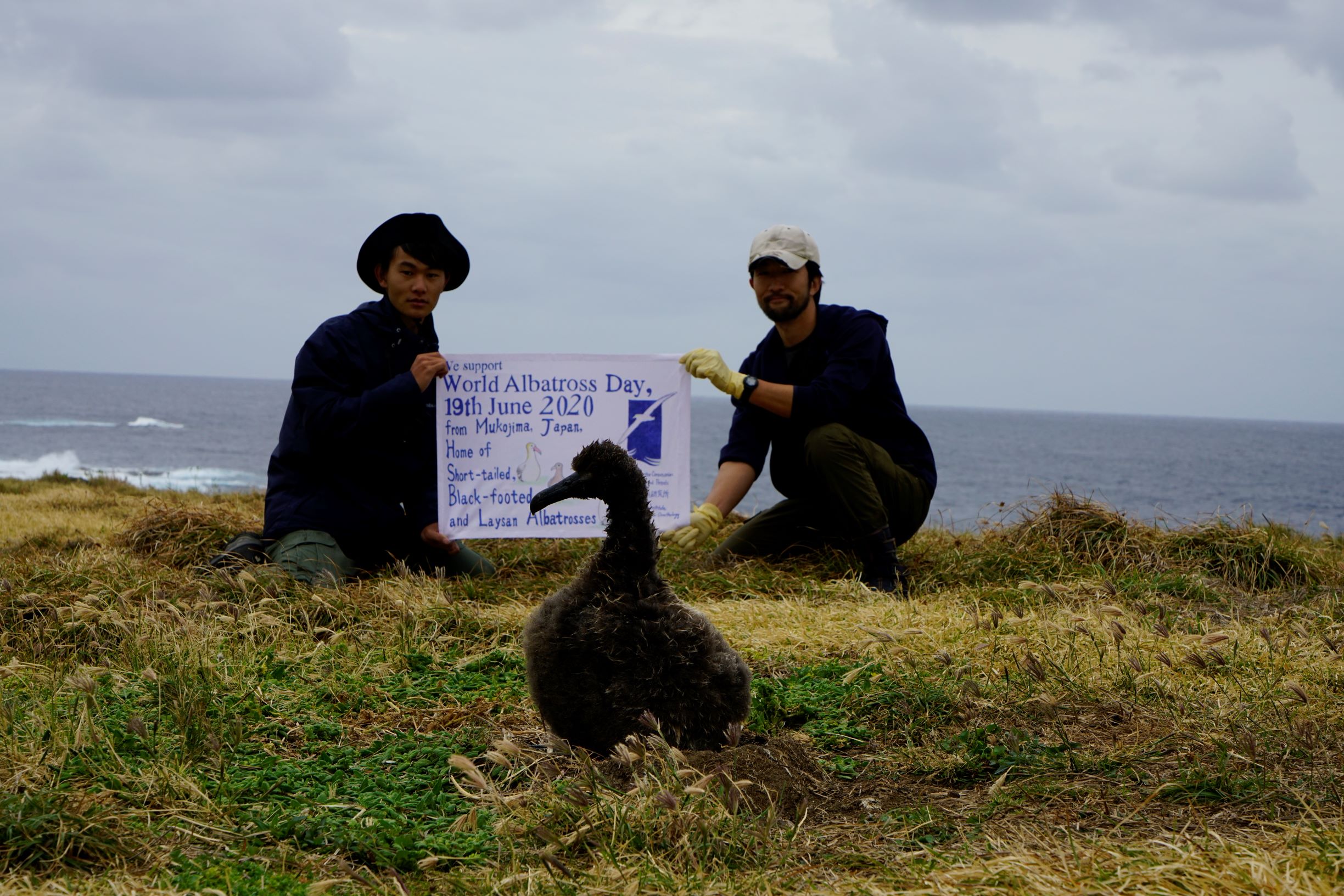 Mukojima with Short tailed chick