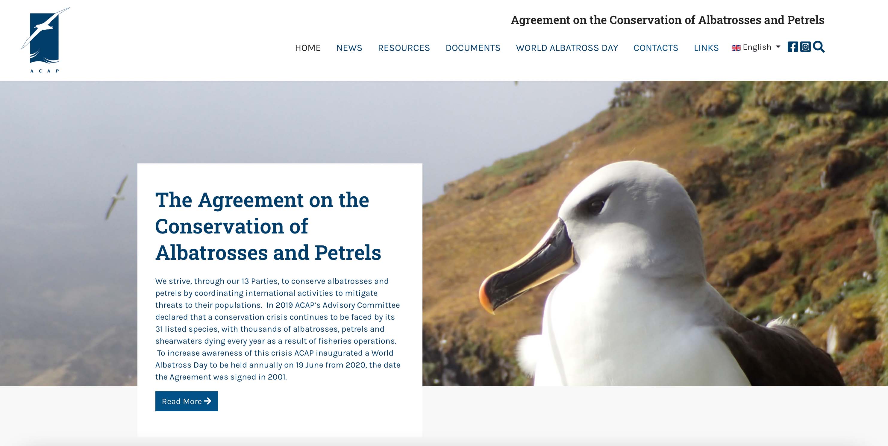 Snapshot of ACAP's new website homepage which is a close up shot of a Black-browed Albatross and a text box that summarises what ACAP is and does under the heading, The Agreement on the Conservation of Albatrosses and Petrels.