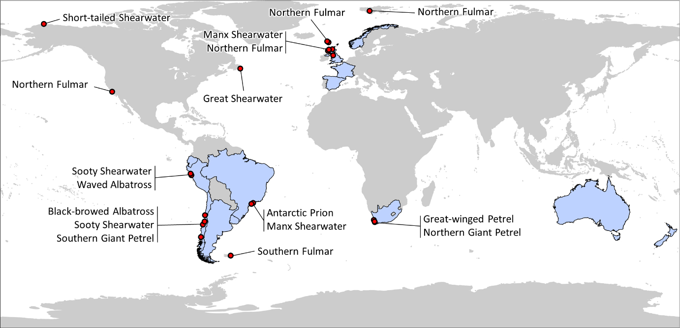 Notifications of HPAI outbreaks