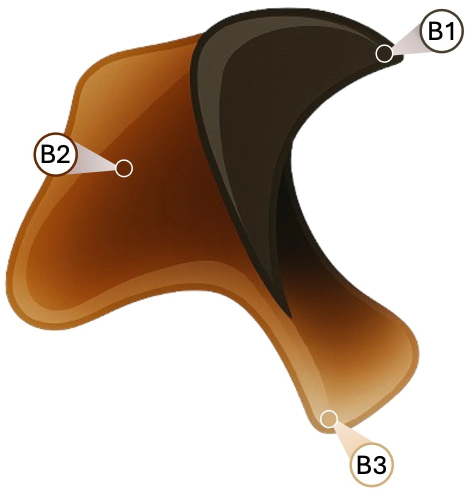 squid beak