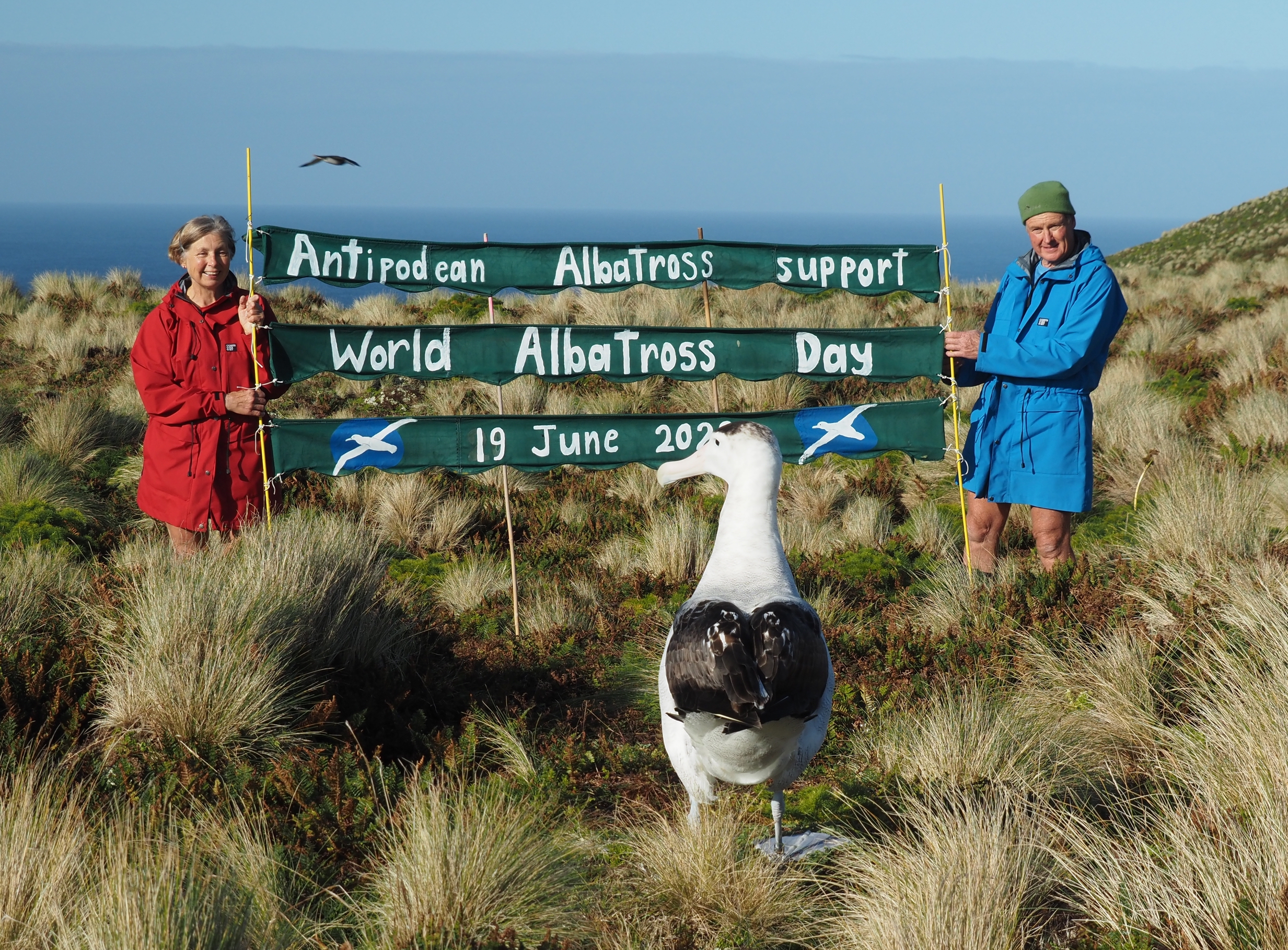 WAD banner Antipodes Kath Walker Graeme Elliott 1