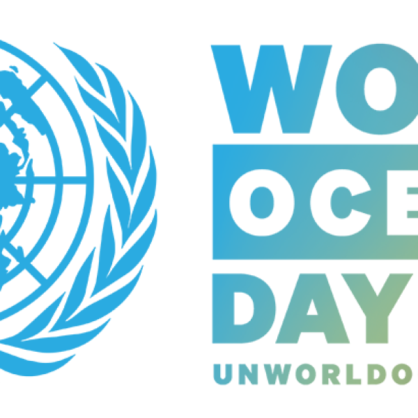 World Oceans Day is being marked today with youth-oriented activities taking place worldwide, including in South Africa, a Party to the Agreement