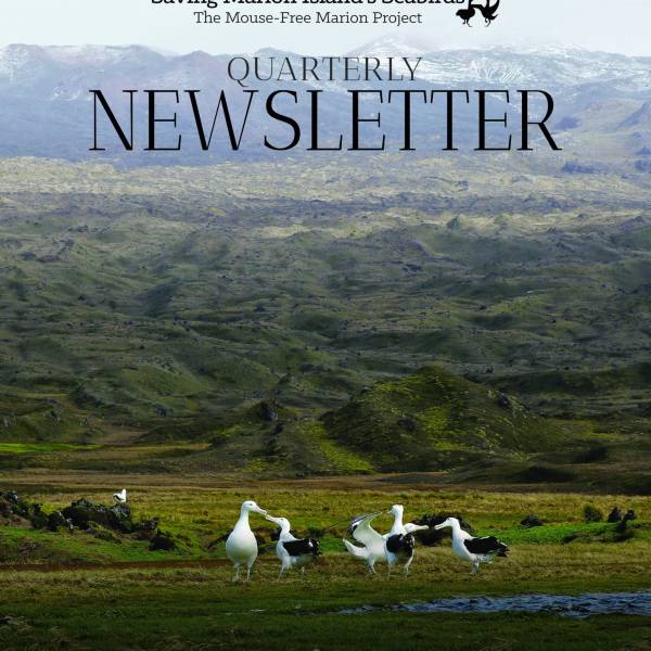The latest issue of the Mouse-Free Marion Quarterly Newsletter has been released