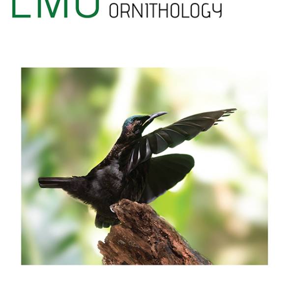 Lessons and trends from three decades of Australian threatened bird action plans highlighted in a special edition of Emu – Austral Ornithology 