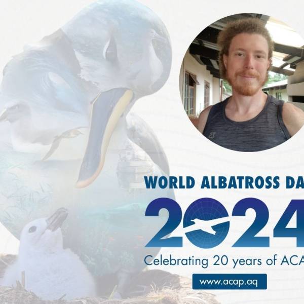 Meet the Designer: World Albatross Day poster Designer Geoff Tyler shares his thoughts on the power of art in conservation