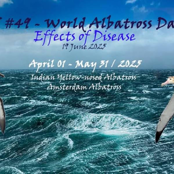 ‘WADWEEK' #5.  ACAP releases three art posters for World Albatross Day  on 19 June 