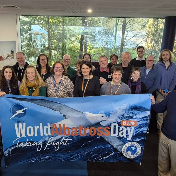 The Australian Antarctic Division hosted its annual morning tea to celebrate World Albatross Day and its 2025 theme “Effects of Disease” on 19 June