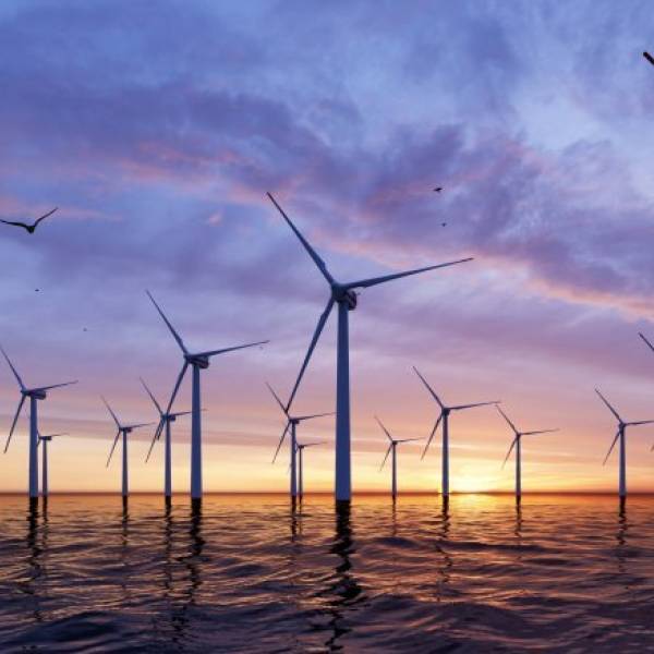 Collision risk for albatrosses and petrels with offshore wind farms gets reviewed