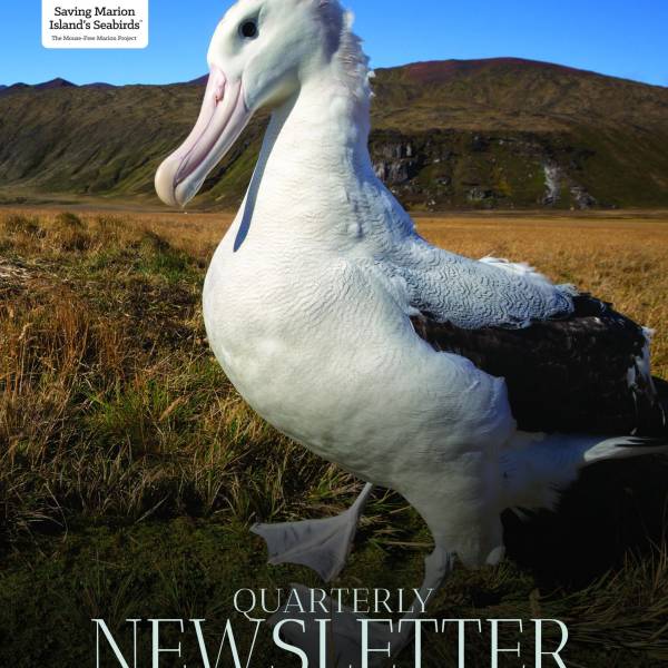 The Mouse-Free Marion Project releases its 14th Quarterly Newsletter