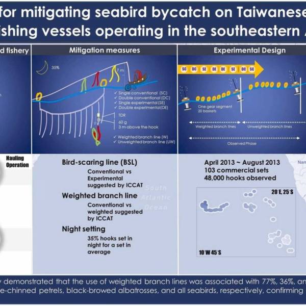Mitigating seabird bycatch by Albacore longline fishing vessels in the south-east Atlantic