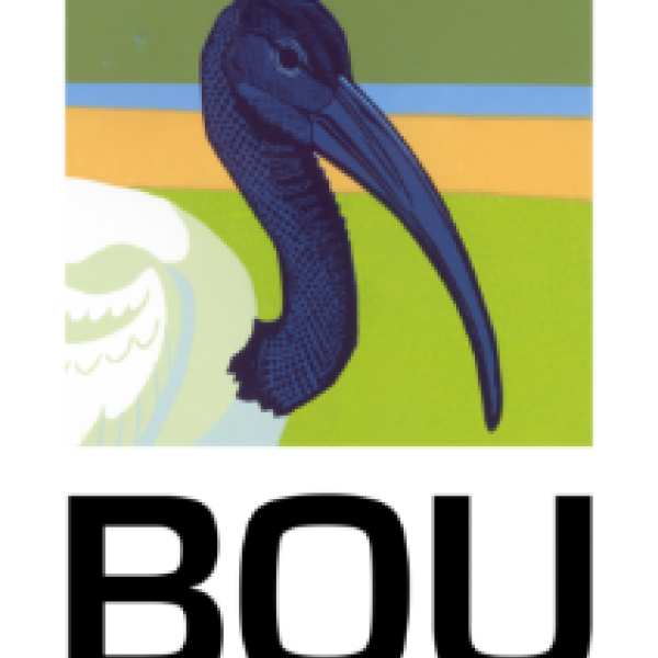 Need financial support for your UK undergraduate research?  The BOU Summer Placement Scheme could help