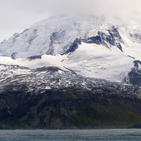 Bird flu confirmed in Southern Elephant Seals on Australia’s sub-Antarctic Heard Island