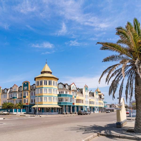 The Fifteenth Meeting of ACAP’s Advisory Committee will be held in Swakopmund, Namibia in June 2026