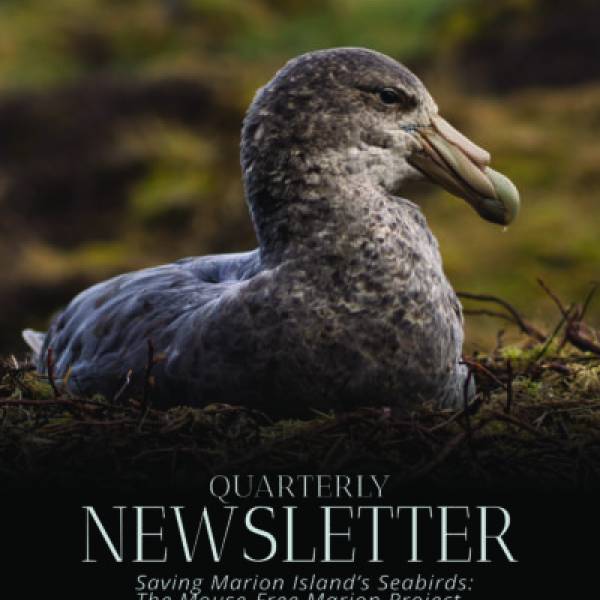 The Mouse-Free Marion Project releases its final Quarterly Newsletter for 2025