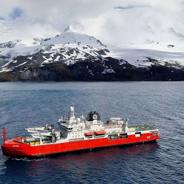 Back to Heard Island on V2 to test for Highly Pathogenic Avian Influenza in seabirds and fur seals