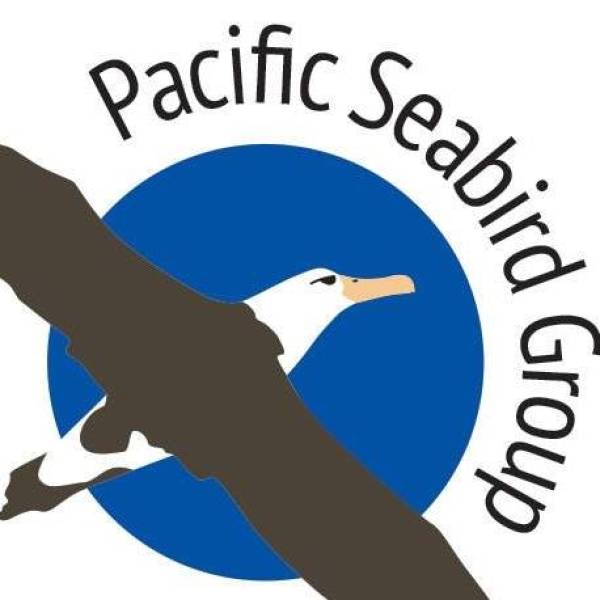 The Pacific Seabird Group is accepting applications for 2026 PSG Student Research Grants