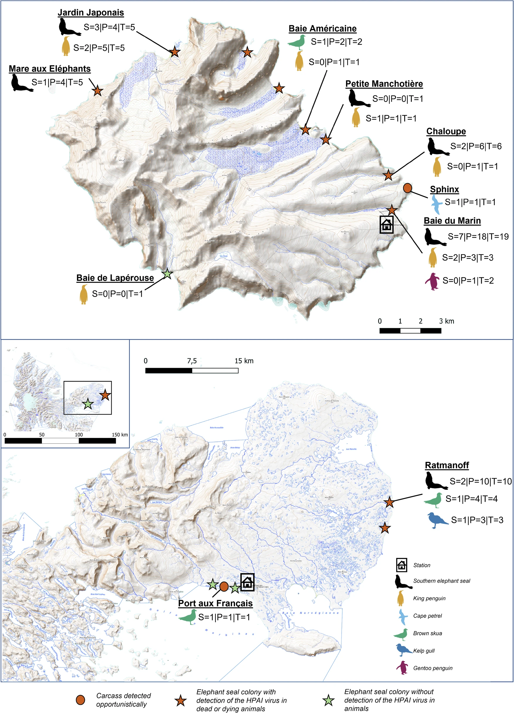 Avian influenza H5N1 has reached the French sub-Antarctic islands, killing seals and seabirds
