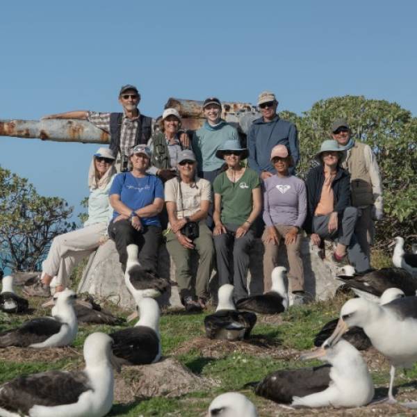 Midway Atoll’s albatross ground count reveals over 600 000 pairs are breeding in the 2025/26 season – but will the volunteers be replaced by drones and temporal image differencing?