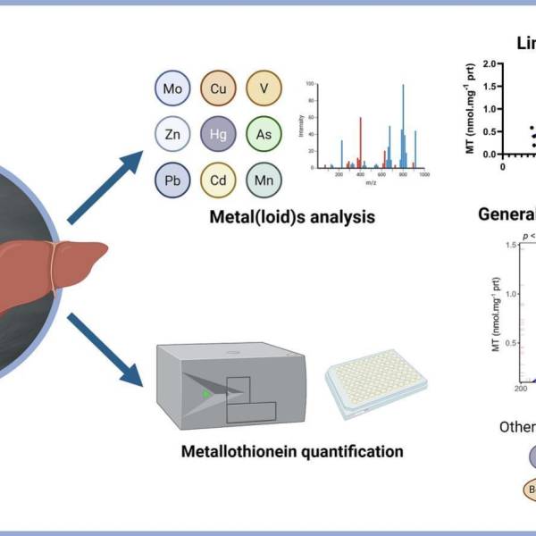 Metal(loid) concentrations in Black-browed Albatrosses stranded in Brazil