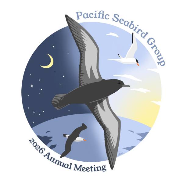 Six presentations on albatrosses will be made this week at the Pacific Seabird Group's online Annual Meeting