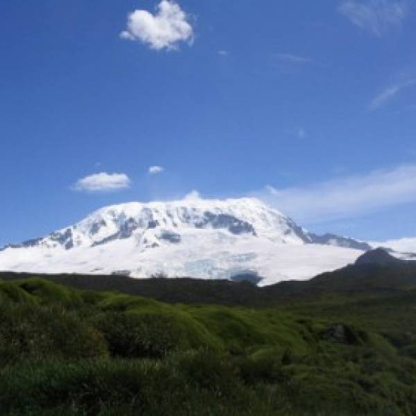 Highly Pathogenic Avian Influenza now reported from a seabird on Heard Island