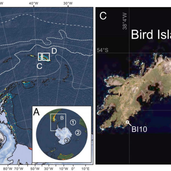 An ill wind from the west.  Mercury levels in accumulated guano reflect changes in seabird abundance in the Southern Ocean