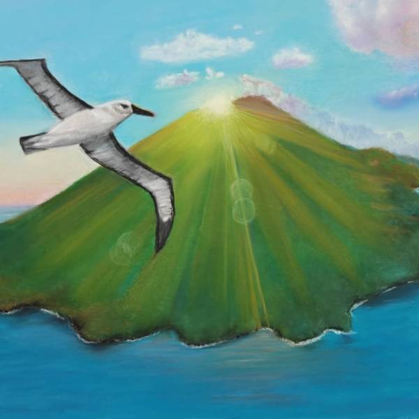 THE ACAP MONTHLY MISSIVE.  A review of land-based threats to pelagic seabirds in the Atlantic Ocean identifies Gough Island as a high priority for action
