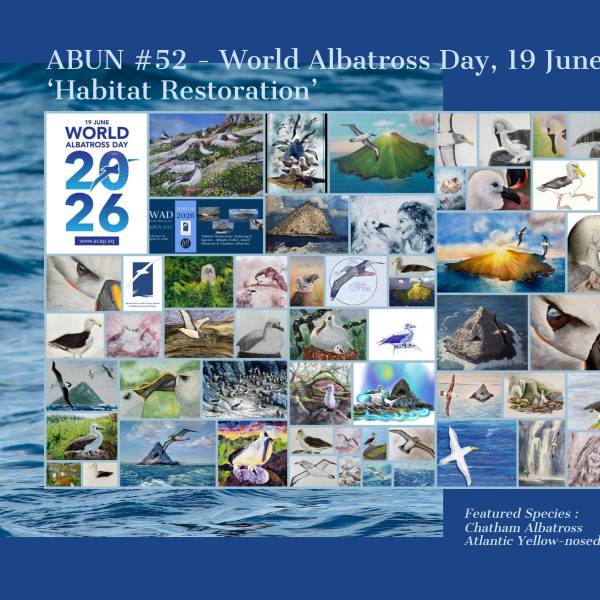 The seventh art collaboration with ABUN in support of World Albatross Day ends with a collage poster