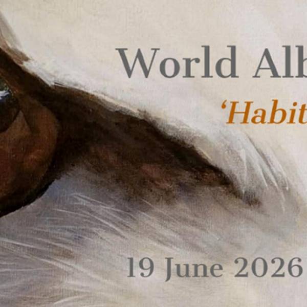 Habitat Restoration is the theme for the 7th World Albatross Day celebrations today