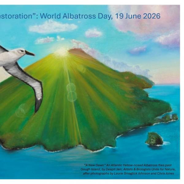 Day Six of ‘WADWEEK2026’.  Suggestions for themes for future World Albatross Days welcomed