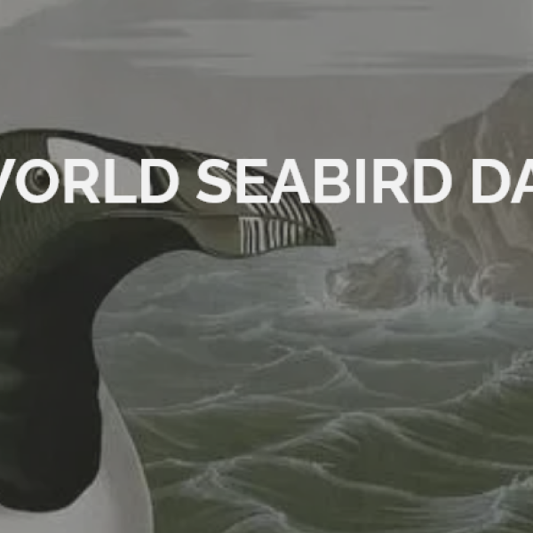 ACAP releases the final report of its 15th Advisory Committee Meeting in time for World Seabird Day