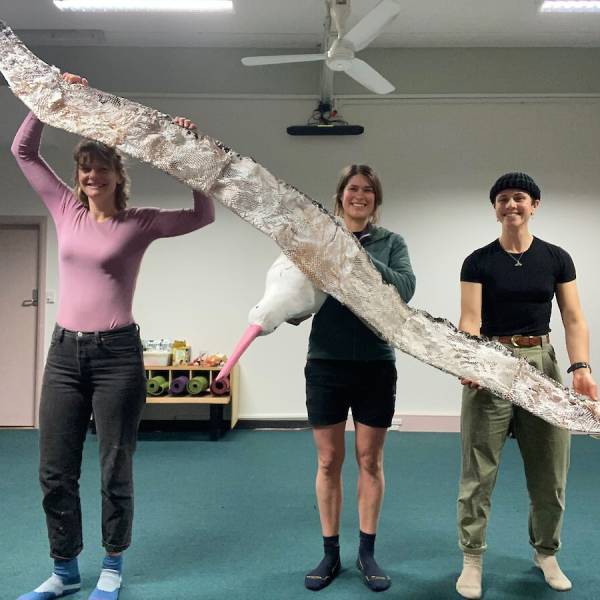 Macquarie Island marks World Albatross Day with the ceremonial burning of a life-size Wandering Albatross model