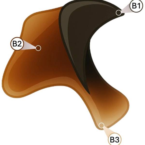 Identifying albatross prey via DNA in regurgitated squid beaks
