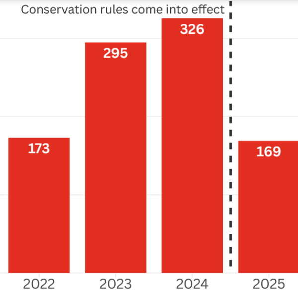 “Seabird deaths plummet in fleet subject to conservation rules, but rise overall”