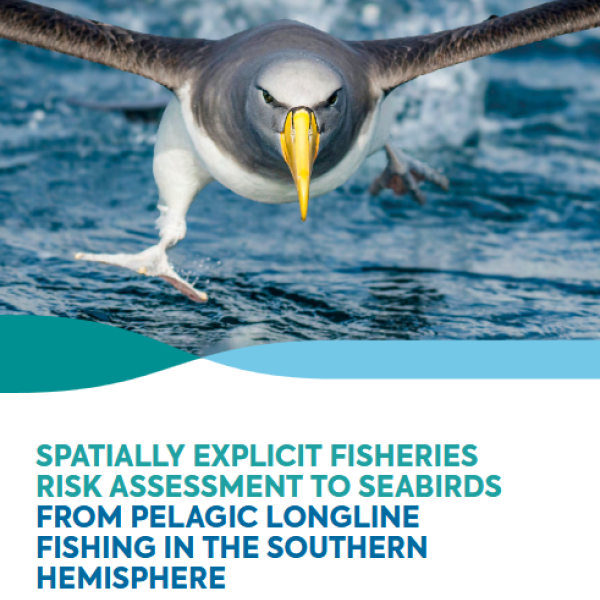 CCSBT/FAO study gives fresh impetus to reduce seabird bycatch in Southern Hemisphere longline fisheries