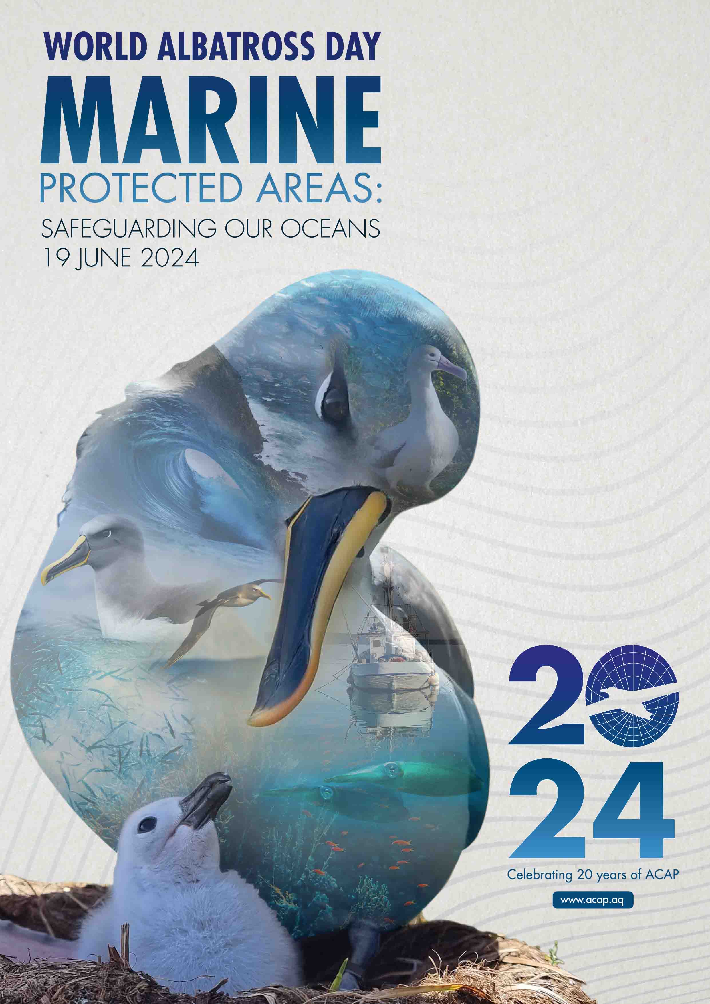 World Albatross Day 2024 Poster - English